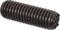 Fairlane - Serrated Tooth, 1/2-13, 3/16" Internal Hex, 1-1/2" Thread Length, Black Oxide Finish, Fully Threaded, Adjustable Positioning Gripper - Fine Tooth Grade - Americas Industrial Supply