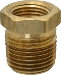 Parker - 1/2 Male Thread x 3/8 Female Thread, Brass Industrial Pipe Hex Bushing - MNPTF x FNPTF, 1,000 psi - Americas Industrial Supply