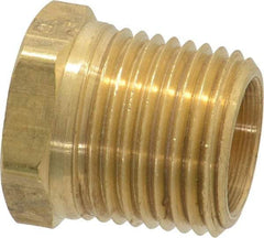 Parker - 1/2 Male Thread, Brass Industrial Pipe Hex Head Plug - MNPTF, 1,000 psi - Americas Industrial Supply