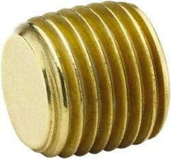 Parker - 3/4 Male Thread, Brass Industrial Pipe Hollow Hex Plug - MNPTF, 1,000 psi - Americas Industrial Supply