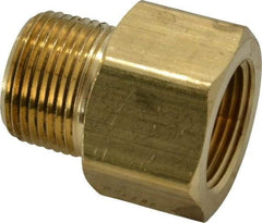 Parker - 3/4 Male Thread x 3/4 Female Thread, Brass Industrial Pipe Adapter - MNPTF x FNPTF, 1,000 psi - Americas Industrial Supply