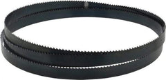 Starrett - 6 TPI, 7' 9" Long x 3/4" Wide x 0.032" Thick, Welded Band Saw Blade - Carbon Steel, Toothed Edge, Raker Tooth Set, Flexible Back, Contour Cutting - Americas Industrial Supply