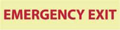 NMC - Emergency Exit, Pressure Sensitive Vinyl Exit Sign - 12" Wide x 3" High, Glow-in-the-Dark - Americas Industrial Supply