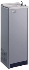 Halsey Taylor - 8 GPH Cooling Capacity Deluxe Floor Standing Water Cooler & Fountain - 0.16 hp, Optional Glass Filler Sold Separately - Americas Industrial Supply