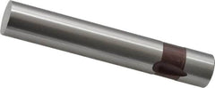 Dayton Lamina - 1/2" Shank Diam, Ball Lock, A2 Grade Tool Steel, Solid Mold Die Blank & Punch - 3" OAL, Blank Punch, Regular (LPB) Series - Americas Industrial Supply