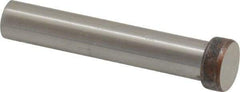 Dayton Lamina - 1/2" Head Diam, 3/8" Shank Diam, Basic Head, A2 Grade Tool Steel, Solid Mold Die Blank & Punch - 3/16" Head Height, 2-1/4" OAL, Blank Punch, Regular (KPB) Series - Americas Industrial Supply