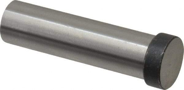 Dayton Lamina - 3/4" Head Diam, 5/8" Shank Diam, Basic Head, M2 Grade High Speed Steel, Solid Mold Die Blank & Punch - 1/4" Head Height, 2-1/2" OAL, Blank Punch, Regular (KPB) Series - Americas Industrial Supply