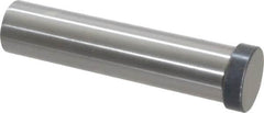 Dayton Lamina - 7/8" Head Diam, 3/4" Shank Diam, Basic Head, M2 Grade High Speed Steel, Solid Mold Die Blank & Punch - 1/4" Head Height, 3-1/2" OAL, Blank Punch, Regular (KPB) Series - Americas Industrial Supply