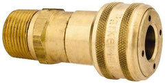 Parker - 3/4-14 Male NPT Industrial Pneumatic Hose Coupler - Brass, 1/2" Body Diam - Americas Industrial Supply