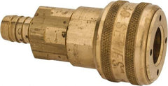Parker - Hose Barb Industrial Pneumatic Hose Coupler - Brass, 1/2" Body Diam, 1/2" Hose ID - Americas Industrial Supply
