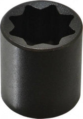 Proto - 1/2" Drive 13/16" Standard Impact Socket - 8 Points, 1-1/2" OAL - Americas Industrial Supply