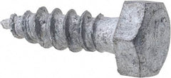 Value Collection - 1/4" Screw, 1" Length Under Head, Steel, Hex Head Lag Screw - Hot Dipped Galvanized, Grade 2 - Americas Industrial Supply