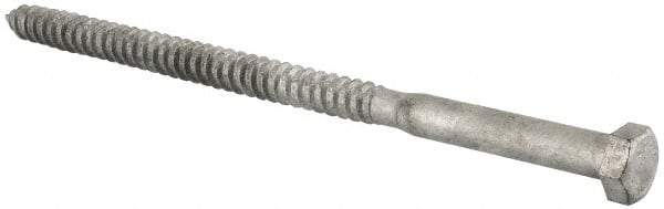 Value Collection - 1/2" Screw, 9" Length Under Head, Steel, Hex Head Lag Screw - Hot Dipped Galvanized, Grade 2 - Americas Industrial Supply