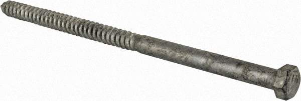 Value Collection - 5/8" Screw, 12" Length Under Head, Steel, Hex Head Lag Screw - Hot Dipped Galvanized, Grade 2 - Americas Industrial Supply