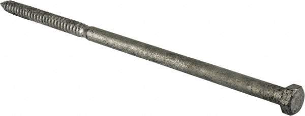 Value Collection - 5/8" Screw, 16" Length Under Head, Steel, Hex Head Lag Screw - Hot Dipped Galvanized, Grade 2 - Americas Industrial Supply