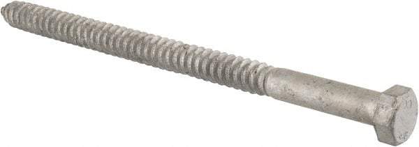 Value Collection - 3/4" Screw, 12" Length Under Head, Steel, Hex Head Lag Screw - Hot Dipped Galvanized, Grade 2 - Americas Industrial Supply