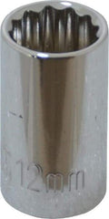 Paramount - 3/8" Drive, Standard Hand Socket - 12 Points, 1-3/16" OAL, Steel, Chrome Finish - Americas Industrial Supply