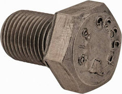 Value Collection - 1/2-20 UNF, 3/4" Length Under Head Hex Head Cap Screw - Fully Threaded, Grade 316 Stainless Steel, Uncoated, 3/4" Hex - Americas Industrial Supply