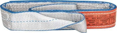 Lift-All - 3' Long x 2" Wide, 6,400 Lb Vertical Capacity, 2 Ply, Polyester Web Sling - 5,000 Lb Choker Capacity, Silver (Color) - Americas Industrial Supply