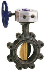 NIBCO - 5" Pipe, Lug Butterfly Valve - Gear Handle, Ductile Iron Body, EPDM Seat, 250 WOG, Ductile Iron Disc, Stainless Steel Stem - Americas Industrial Supply