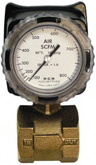 Made in USA - 2" NPT Port RCM Industries Flo-Gage Flowmeter - 180 Max psi, Bronze - Americas Industrial Supply