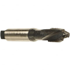 Emuge - #8-32 UNC 3 Flute 2BX Plug Spiral Flute Tap - Cobalt, Oxide Finish, 2-1/8" OAL, Left Hand Flute, Right Hand Thread, Series Rekord C - Exact Industrial Supply