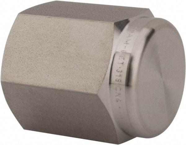 Ham-Let - 1/4" Grade 316 Stainless Steel Pipe End Cap - FNPT End Connections, 6,200 psi - Americas Industrial Supply