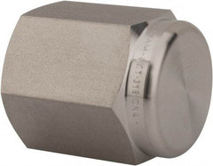 Ham-Let - 1/4" Grade 316 Stainless Steel Pipe End Cap - FNPT End Connections, 6,200 psi - Americas Industrial Supply