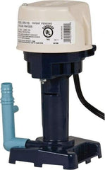 Little Giant Pumps - 1 Amp, 115 Volt, 1/50 hp, 1 Phase, Thermal Plastic Evaporative Cooler Pumps Machine Tool & Recirculating Pump - 8.3 GPM, 11 psi, 9" Overall Height, 4-1/2" Body Length, ABS Impeller, Open Fan Cooled Motor - Americas Industrial Supply