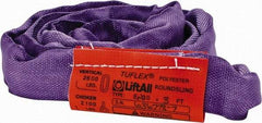 Lift-All - 3' Long x 3" Wide, 2,600 Lb Vertical Capacity, Polyester Web Sling - 2,100 Lb Choker Capacity, 5/8" Diam Chain, Purple - Americas Industrial Supply