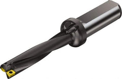 Sandvik Coromant - 5-7/16" Max Drill Depth, 5xD, 1.062" Diam, Indexable Insert Drill - 2 Inserts, 1-1/4" Shank Diam, Straight Shank - Americas Industrial Supply