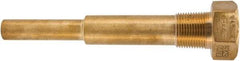 Winters - 6-3/4 Inch Overall Length, 3/4 Inch Thread, Brass Thermowell - 5 Inch Insertion Length - Americas Industrial Supply