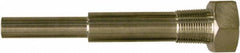 Winters - 6-3/4 Inch Overall Length, 3/4 Inch Thread, 304 Stainless Steel Thermowell - 5 Inch Insertion Length - Americas Industrial Supply