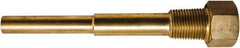 Winters - 7-1/2 Inch Overall Length, 1/2 Inch Thread, Brass Thermowell - 4-1/2 Inch Insertion Length - Americas Industrial Supply