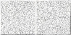 Armstrong World - 48" Long x 24" Wide, Wet-Formed Mineral Fiber Acoustic Ceiling Tile - ASTM E1264 Specification, White - Americas Industrial Supply
