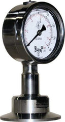 Winters - 2-1/2" Dial, 2 Thread, 0-160 Scale Range, Pressure Gauge - Lower Connection Mount, Accurate to 1.5% of Scale - Americas Industrial Supply