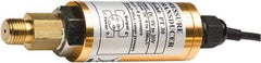 Extech - 30 Max psi, NPT Connection Pressure Transducer - 1/4" Thread - Americas Industrial Supply