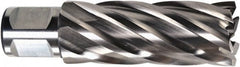 Fein - 13/16" Diam x 2" Deep High Speed Steel Annular Cutter - Americas Industrial Supply
