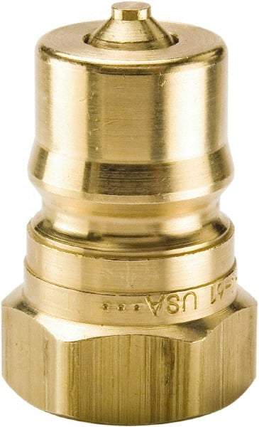 Parker - 1/2 NPTF Brass Hydraulic Hose Female Pipe Thread Nipple - 1,000 psi, 12 GPM - Americas Industrial Supply
