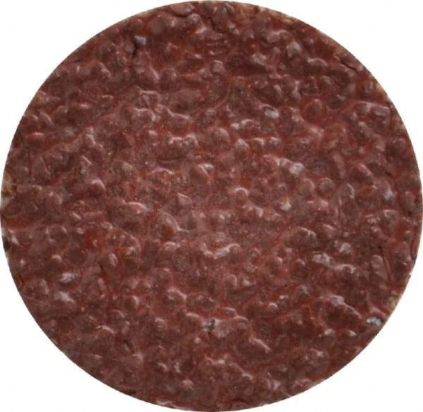 Tru-Maxx - 1" Disc Diam, 24 Grit, Aluminum Oxide Quick Change Disc - Type S Attaching System, Coated, Brown, Very Coarse Grade, 30,000 RPM - Americas Industrial Supply