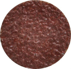 Tru-Maxx - 1" Disc Diam, 24 Grit, Aluminum Oxide Quick Change Disc - Type S Attaching System, Coated, Brown, Very Coarse Grade, 30,000 RPM - Americas Industrial Supply