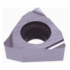 WBGT 521 L-W11 NS9530 - Americas Industrial Supply