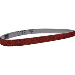 3M - 6" Wide x 48" OAL, 36 Grit, Ceramic Abrasive Belt - Ceramic, Coated, YF Weighted Cloth Backing, Series 981F - Americas Industrial Supply