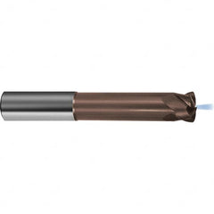 Guhring - End Mill - 100mm Extended Reach - Americas Industrial Supply