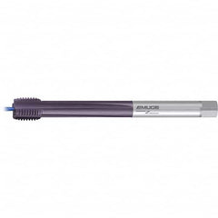 Emuge - Extension Taps Thread Size: M36x4.00 Overall Length (mm): 310.00 - Americas Industrial Supply