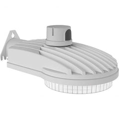 Hubbell Lighting - Parking Lot & Roadway Lights Fixture Type: Roadway Light Lamp Type: LED - Americas Industrial Supply