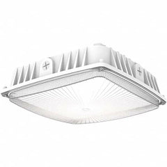 Hubbell Lighting - Parking Lot & Roadway Lights Fixture Type: Parking Garage Light Lamp Type: LED - Americas Industrial Supply