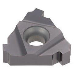 22ER5BAPI AH725 TUNGTHREAD INS LD G - Americas Industrial Supply