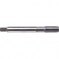 Emuge - Thread Forming STI Taps Thread Size (Inch): #4-48 Class of Fit: 2B - Americas Industrial Supply