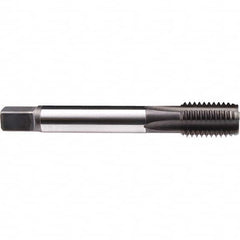 Emuge - 1-1/4 - 8 UN-8 2B 0 Flute Nitride Finish Cobalt Machine Tap - Americas Industrial Supply
